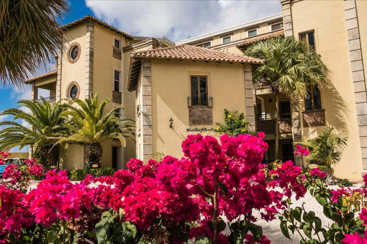 © 2020 The Bellafonte