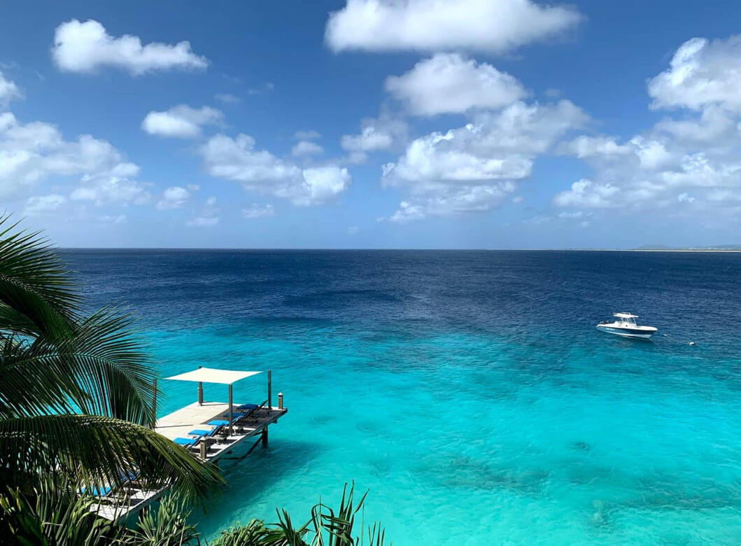 © 2020 The Bellafonte