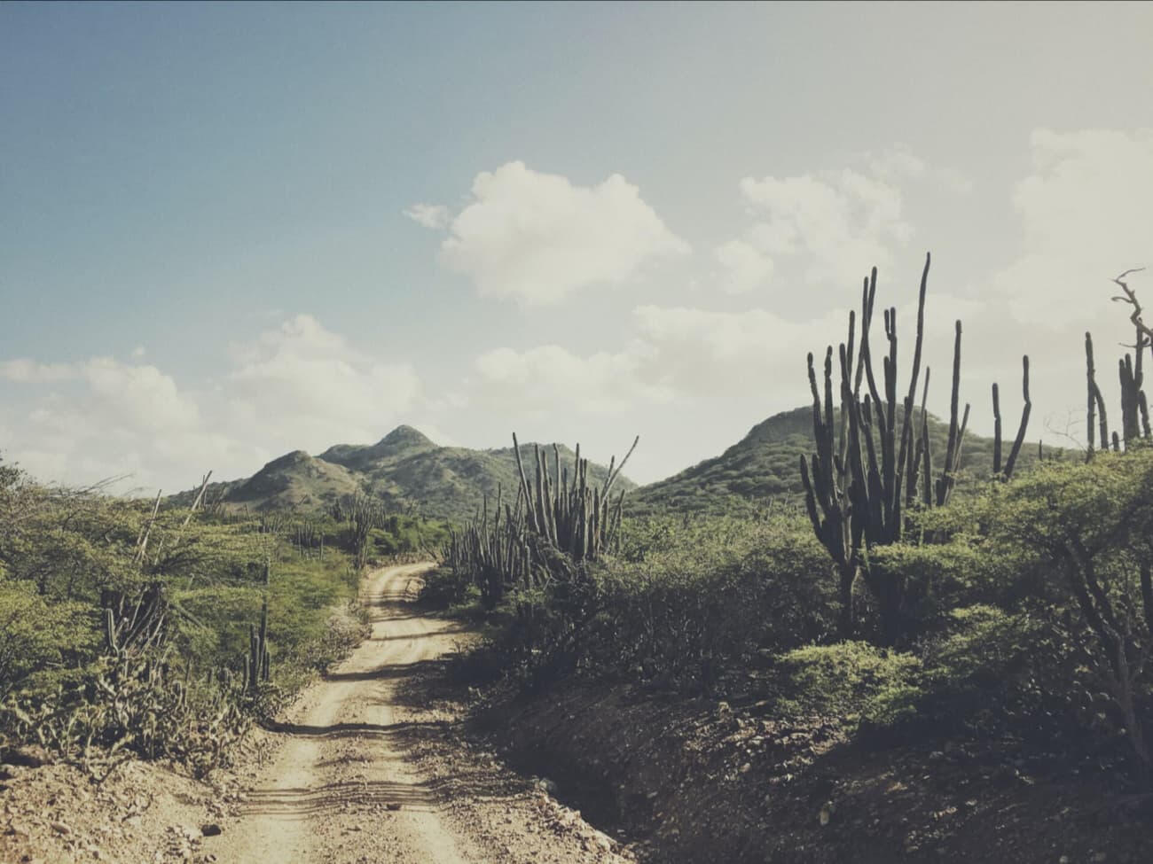 The Bellafonte Bonaire Hotel | National Park